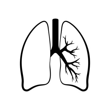 Vector icon. lungs icon isolated on white background