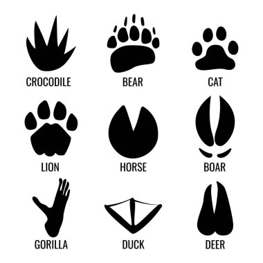 Bir dizi hayvan ayak izi. Vektör İllüstrasyonu