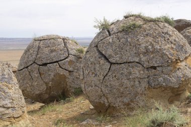 Kazakistan 'ın batısındaki Aktau' daki Torysh Vadisi 'nde taş toplar. Aktau bölgesindeki Ustyurt Platosu 'nun betonu.