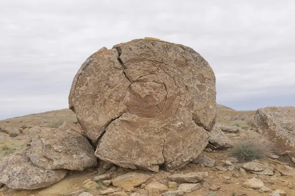 stock image Stone balls in the Torysh valley in Aktau, western Kazakhstan. Concretions on the Ustyurt plateau in Aktau region.