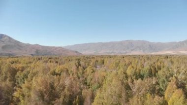 İnsansız hava aracı bir huş ağacının üzerinden yükselir ve dağ sırasının panoramik görüntüsünü ortaya çıkarır. Altın yapraklar, berrak gökyüzü ve doğal uyum bir sükunet ve yalnızlık ortamı yaratır..