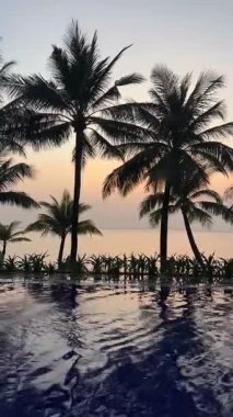 Gökyüzünün yansıması olan lüks bir havuz tropik palmiye ağaçları ve Vietnam 'da Phu Quoc adasında canlı bir günbatımı. Rahatlamak, mahremiyet ve doğal güzelliğin tadını çıkarmak için mükemmel bir manzara..