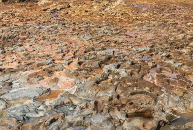 İsrail 'de Ölü Deniz kıyısında çamur ve tuz katmanları