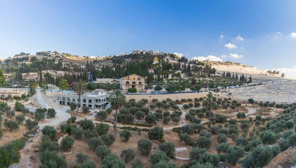 Olajfák Hegyének Panorámája Jeruzsálemben — Stock Fotó