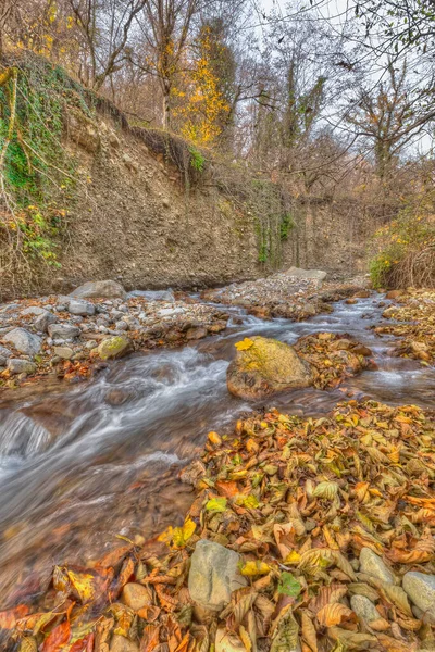 Río Que Fluye Bosque Otoño — Foto de Stock