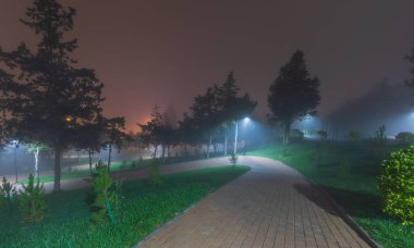 Gece sisli şehir parkı