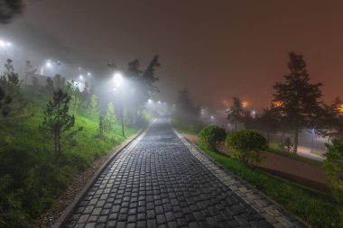 Gece sisli şehir parkı