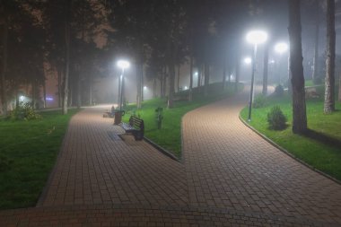 Gece sisli şehir parkı