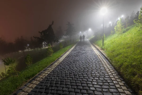 Parque Cidade Noite Nevoeiro — Fotografia de Stock