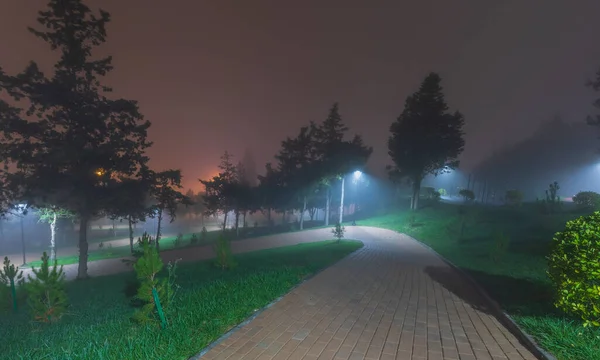 City park at night in fog