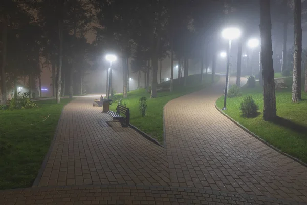 Stadtpark Bei Nacht Nebel — Stockfoto