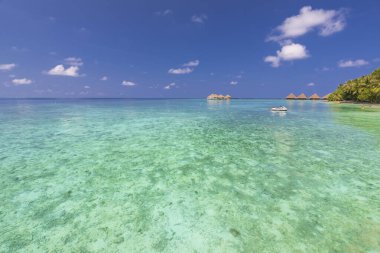 Maldivler 'deki adalardan birinde villalar.