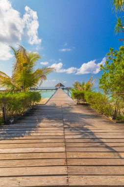 Maldivler 'deki adalardan birinde villalar.