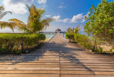 Maldivler 'deki adalardan birinde villalar.