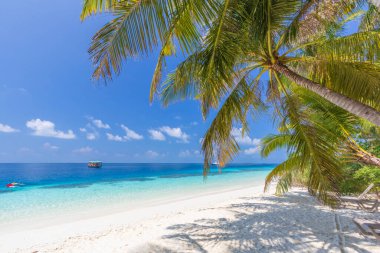 Hint Okyanusu kıyısında