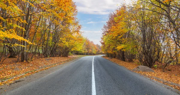 Drum Care Trece Printr Pădure Toamnă Munți — Fotografie, imagine de stoc