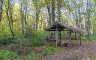 Çardak ve masa, ormandaki ağaç gövdelerinden sandalyeler. Piknik alanı