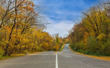 Dağlardaki sonbahar ormanlarından geçen yol.