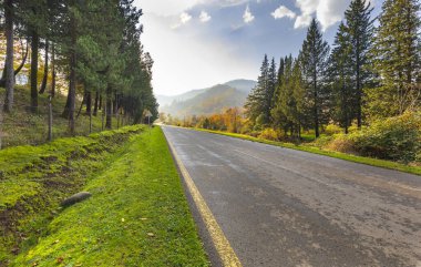 Asfalt yolu dağlardaki sonbahar ormanlarından geçiyor.
