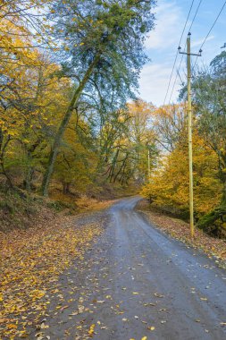 Dağlardaki sonbahar ormanlarından geçen toprak yol.