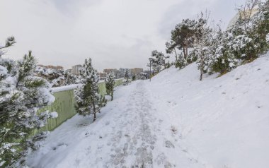 BAKU, AZERBAIJAN - 31 Ocak 2024: Ocak ayında Bakü 'de karla kaplı bir park