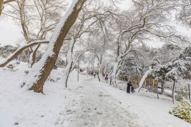 BAKU, AZERBAIJAN - 31 Ocak 2024: Ocak ayında Bakü 'de karla kaplı bir park