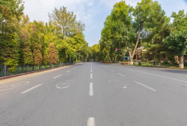 Taşkent 'teki parktaki karanlık sokaklardan biri.