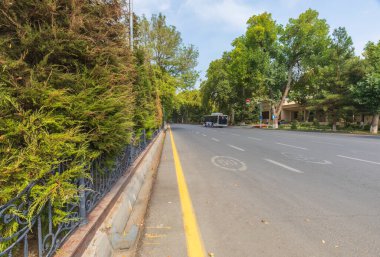 Taşkent 'teki parktaki karanlık sokaklardan biri.