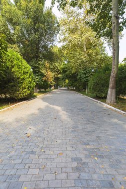 Taşkent 'teki parktaki karanlık sokaklardan biri.