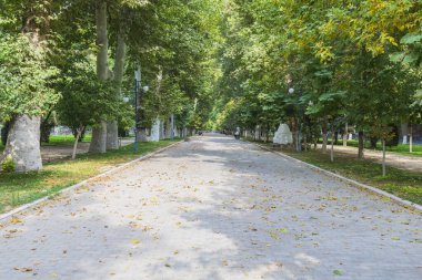 Taşkent 'teki parktaki karanlık sokaklardan biri.