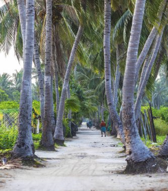 Thoddoo Adası 'nın yerlisi. 