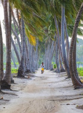 Thoddoo, Maldivler - 5 Şubat 2025: Thoddoo Adası 'nın bisikletli bir sakini