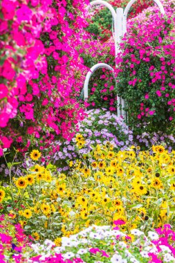 Dubai, BAE - 5 Şubat 2025: Dubai Mucize Bahçesi