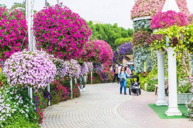 Dubai, BAE - 5 Şubat 2025: Dubai Mucize Bahçesi