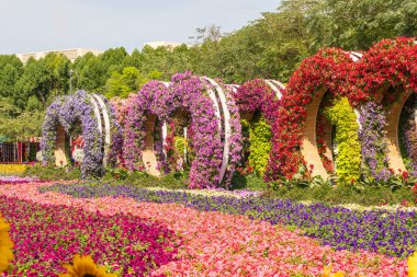 Dubai, BAE - 5 Şubat 2025: Dubai Mucize Bahçesi