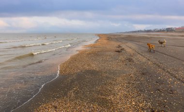 Baharda Hazar Denizi kıyısında