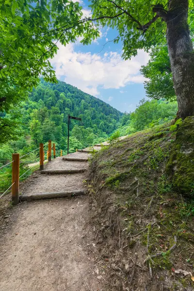 Shirhal şelalesine giden dağ yolu.