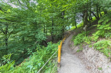 Shirhal şelalesine giden dağ yolu.