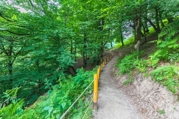 Shirhal şelalesine giden dağ yolu.