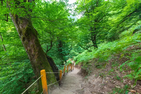 Shirhal şelalesine giden dağ yolu.