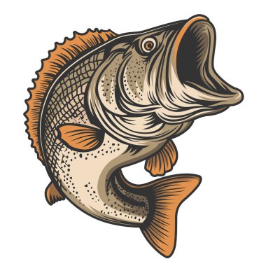 Bas balığı vektörü clipart tasarım şablonu