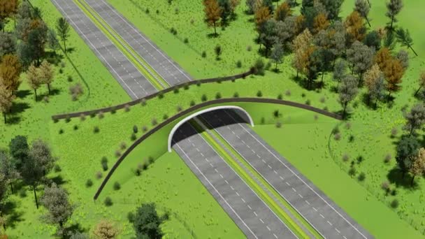Aerial View Ecoduct Wildlife Crossing Vegetation Covered Bridge Motorway Allows — Stock Video