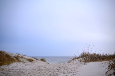 Kumu ve denizi olan bir sahil. Lomma, İsveç, 2025. Yüksek kalite fotoğraf