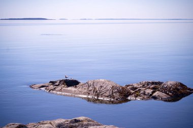 Ladoga Gölü 'nün manzarası Rusya. Yüksek kalite fotoğraf