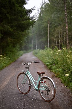 Kasaba yolunda sisli bir günde güzel bir kadın bisikleti. Yüksek kalite fotoğraf