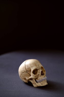 Masanın üzerinde yapay olarak çok gerçekçi bir insan kafatası var. Uzayı kopyala Karanlık arka plan. Yüksek kalite fotoğraf