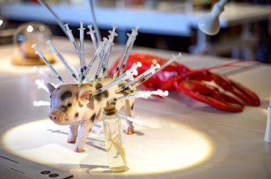 İğrenç Yemek Müzesi 'nde sergi Malmö İsveç 22.03.2025. Yüksek kalite fotoğraf