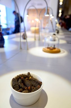 İğrenç Yemek Müzesi 'nde sergi Malmö İsveç 22.03.2025. Yüksek kalite fotoğraf