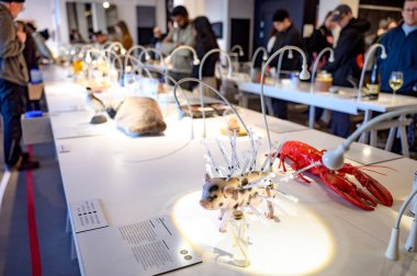 İğrenç Yemek Müzesi 'nde sergi Malmö İsveç 22.03.2025. Yüksek kalite fotoğraf