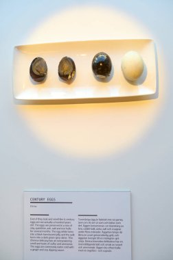 İğrenç Yemek Müzesi 'nde sergi Malmö İsveç 22.03.2025. Yüksek kalite fotoğraf